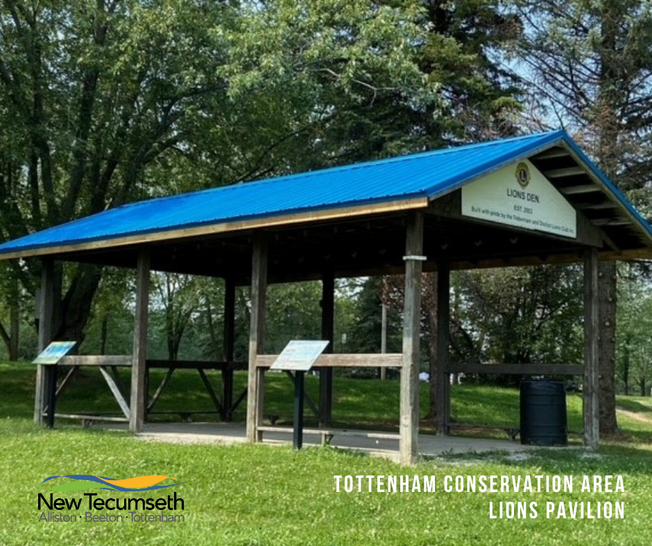 picnic structure surrounded by trees and green grass