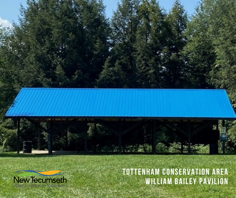 picnic structure surrounded by trees and green grass